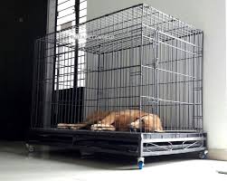 Animal Cages